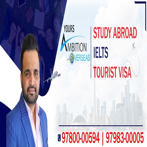 Ambition Overseas