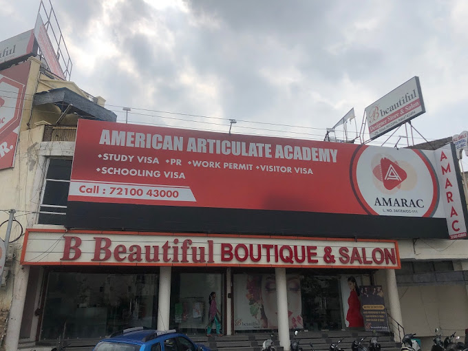 American Articulate Academy