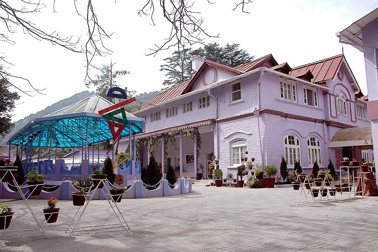 Amtul's Public School