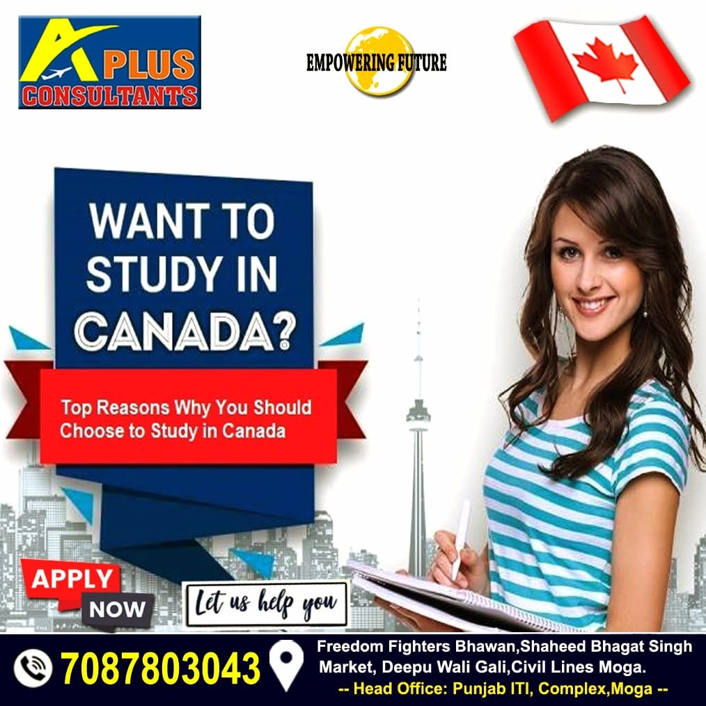 APlus Consultants