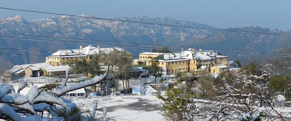 Army Public School