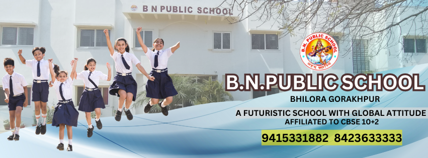 B. N. Public School