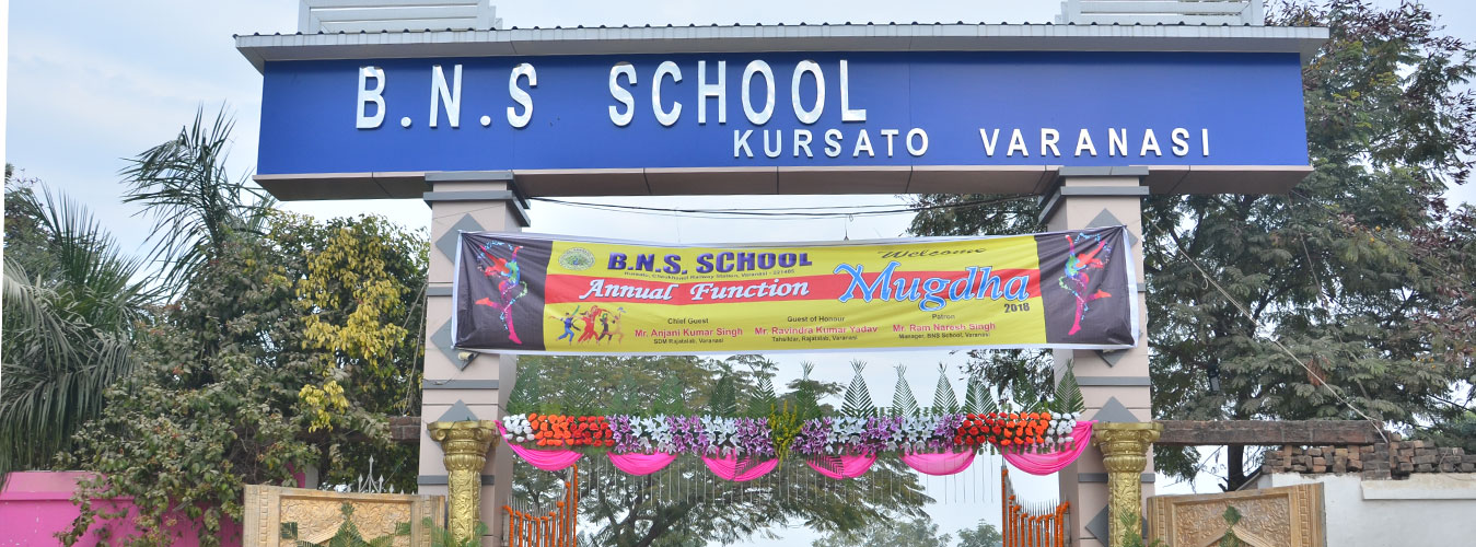 B. N. S. School