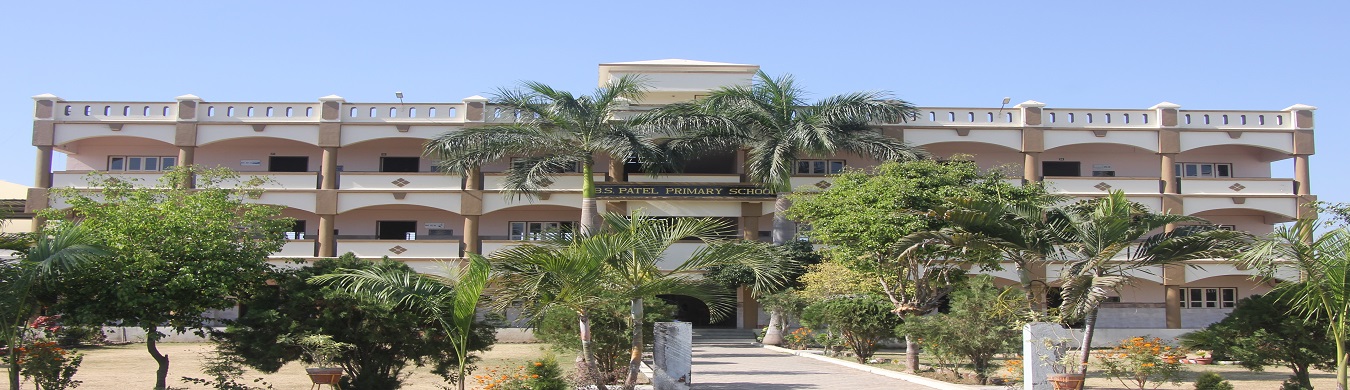 B. S. Patel Primary School