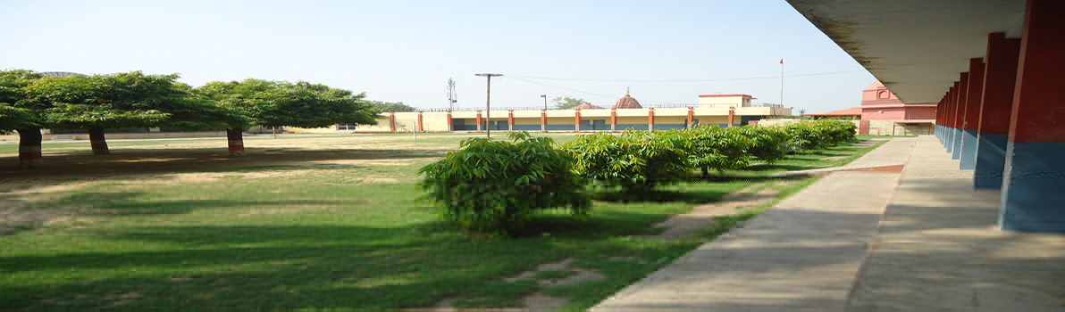 Bajaj Public School