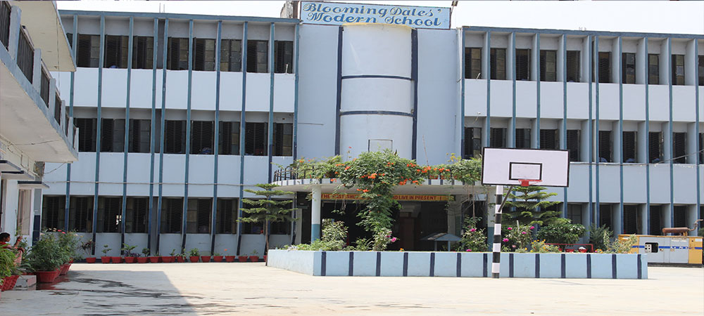 Blooming Dale's Modern School