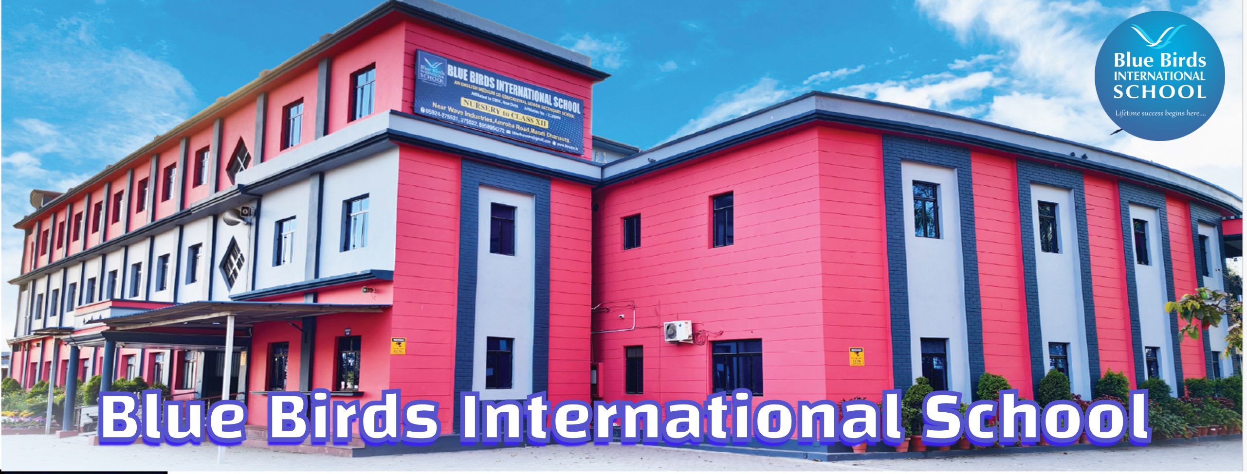 Blue Birds International School