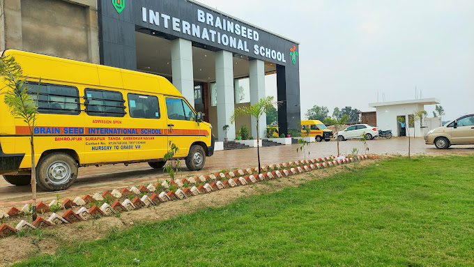 Brainseed International School