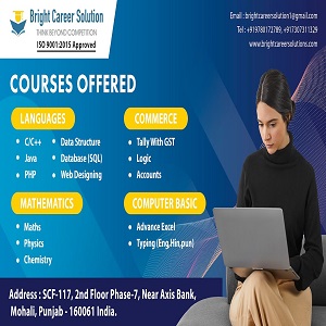 Bright Career Solutions
