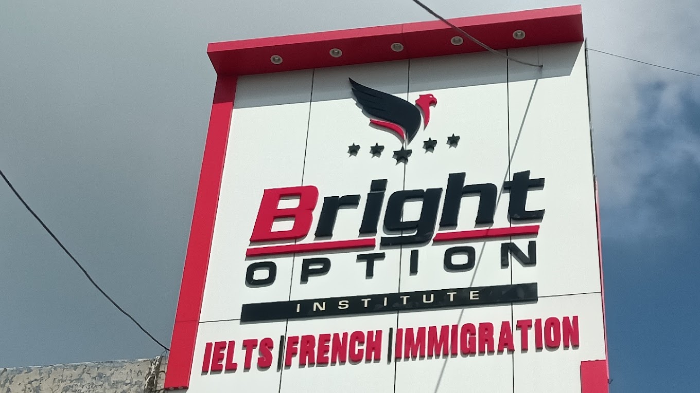 Bright Option Institute
