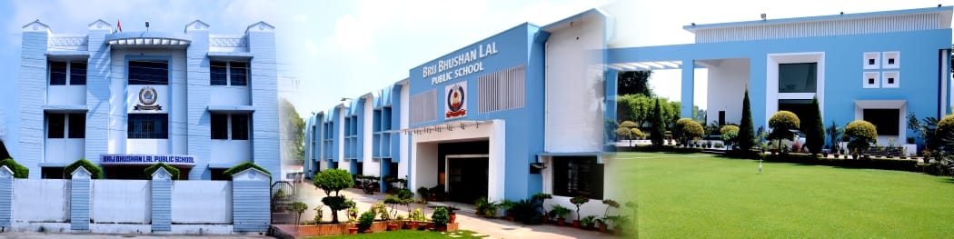 Brij Bhushan Lal Public School