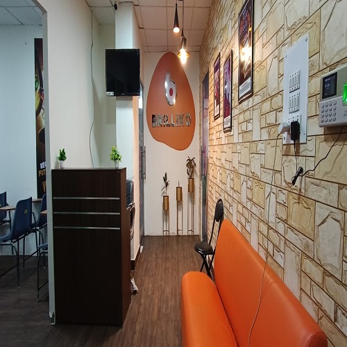Brilliko Multimedia Institutes