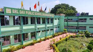 Brl Dav Public School
