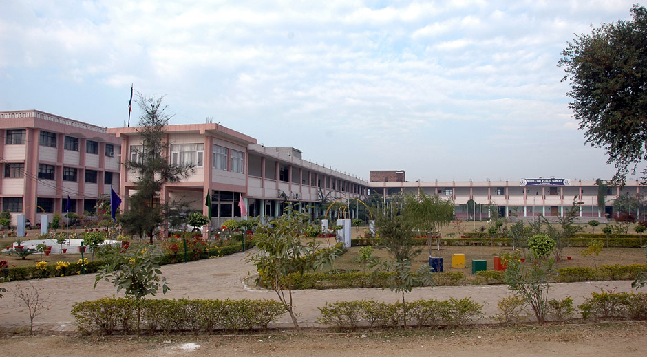 Budha Dal Public School