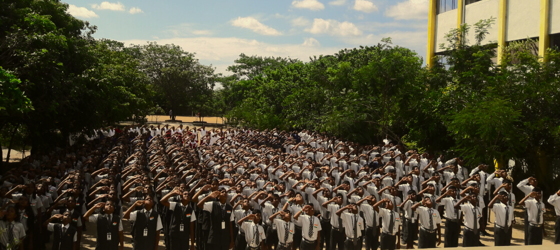 Cambridge Public e-School