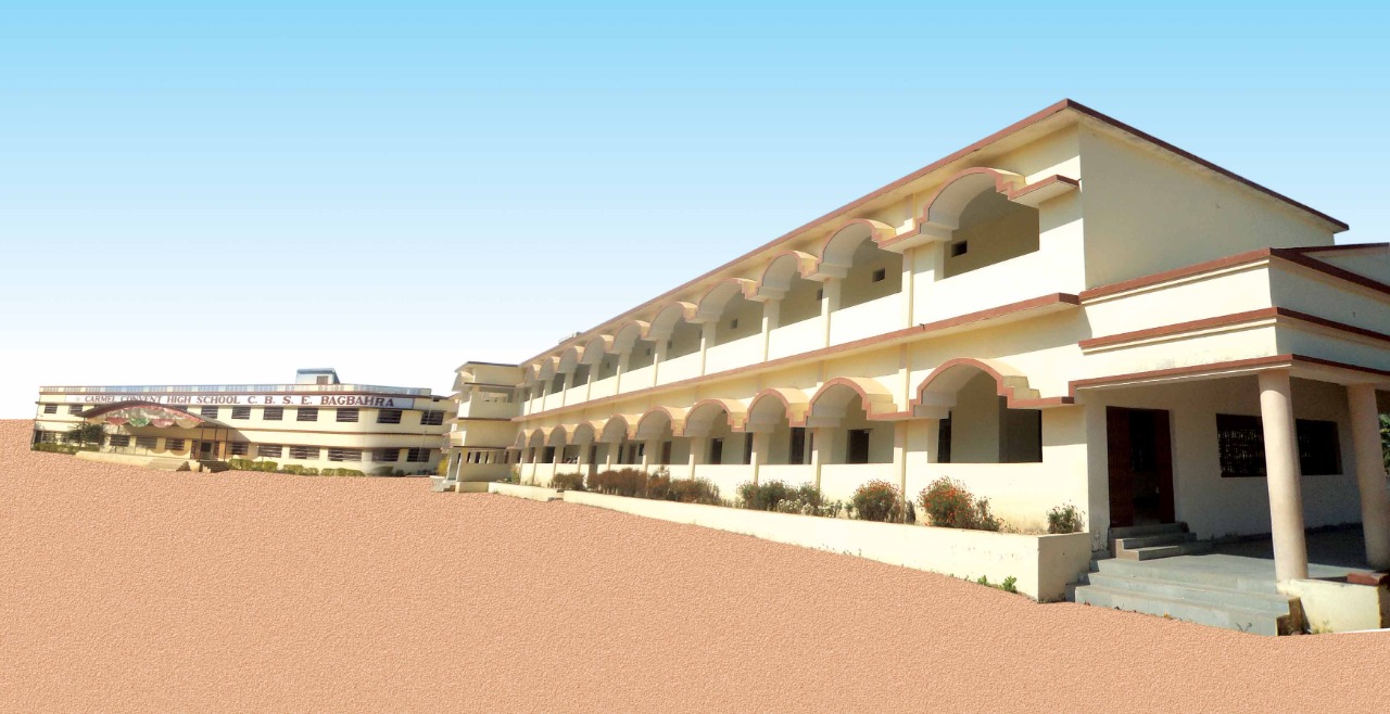 Carmel Convent School