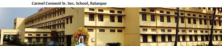 Carmel Convent Senior Secondary School