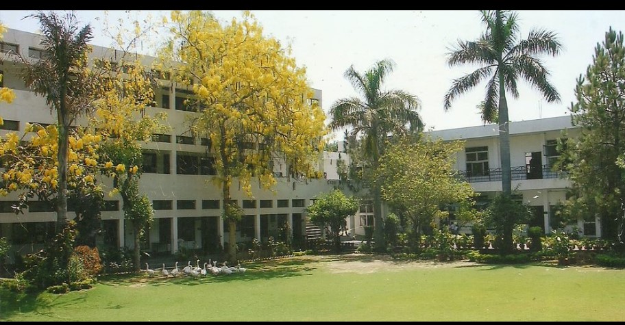 Cedar Spring High School