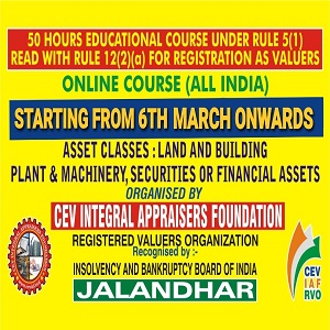 CEV Integral Appraisers Foundation