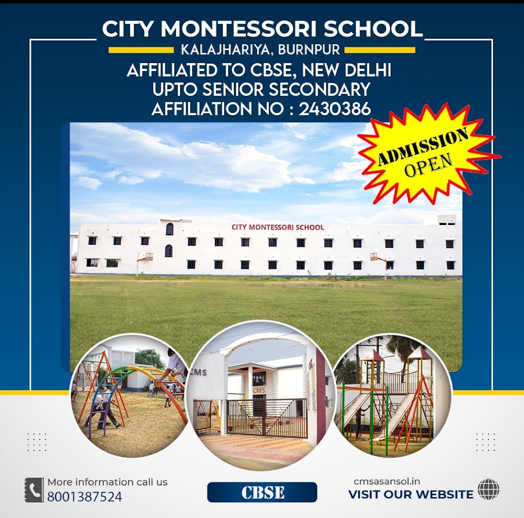City Montessori School