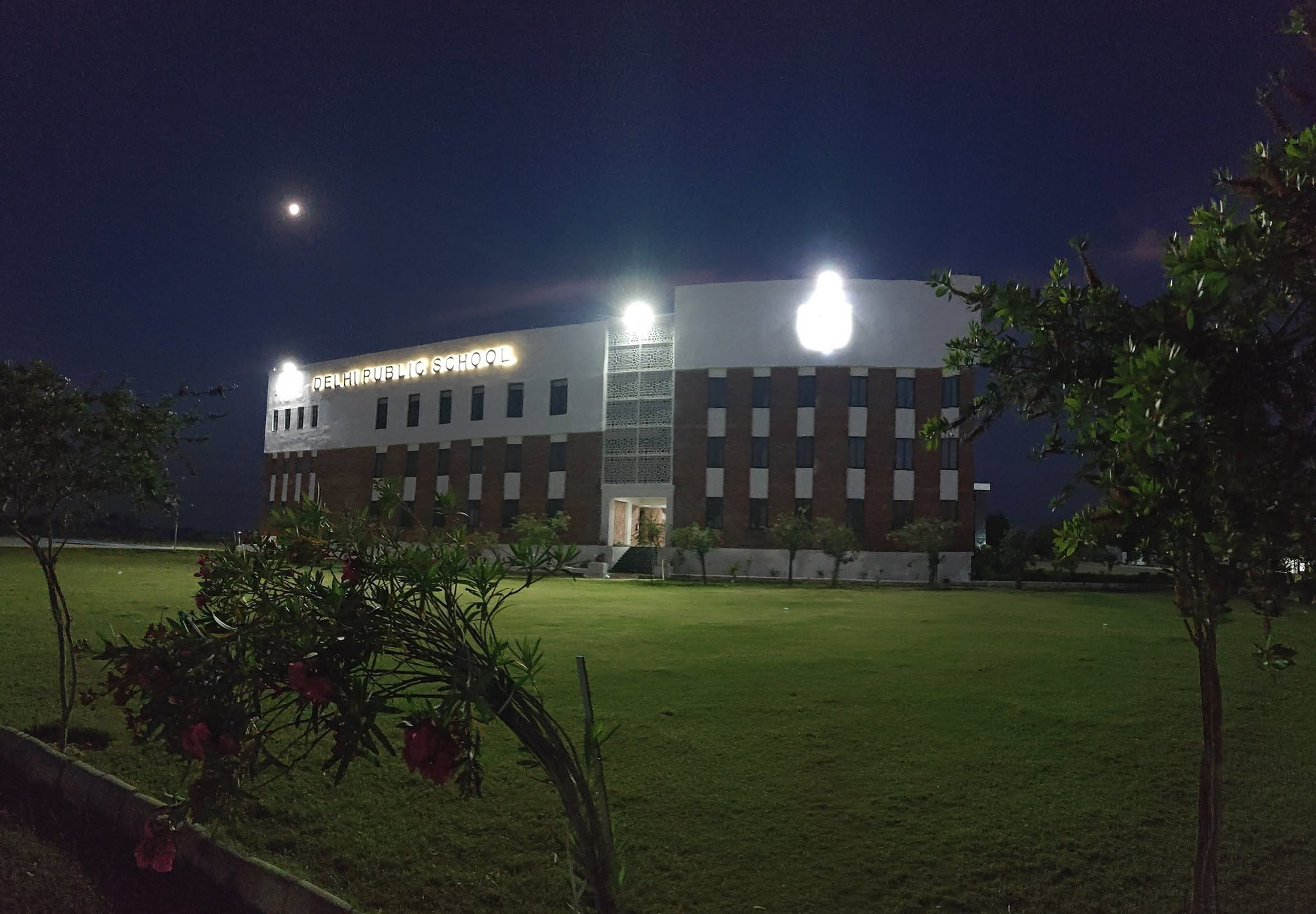 Delhi Public School Ara
