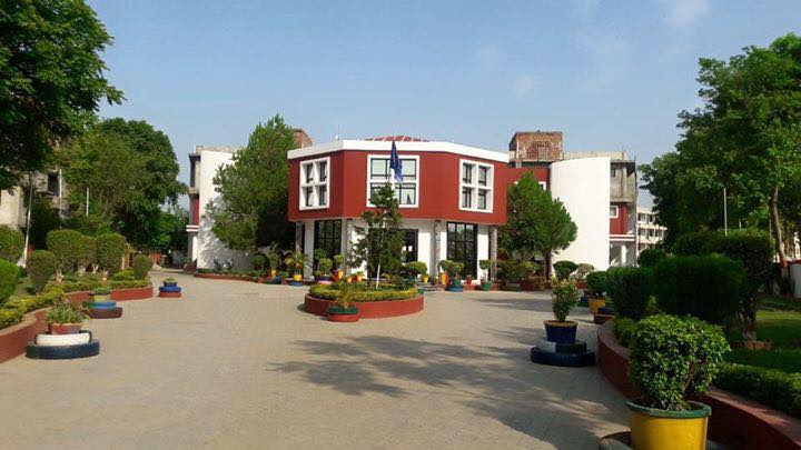 Dips School