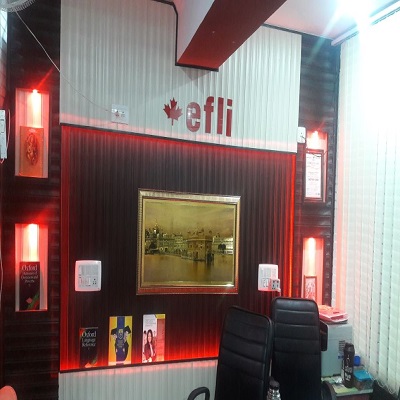 Elegant Foreign Language Institute