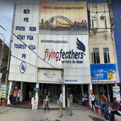 Flyingfeathers