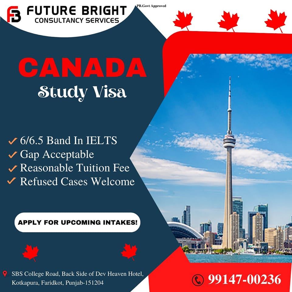 Future Bright Consultancy Services