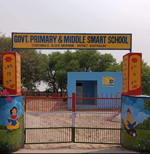 Govt Primary Middle School