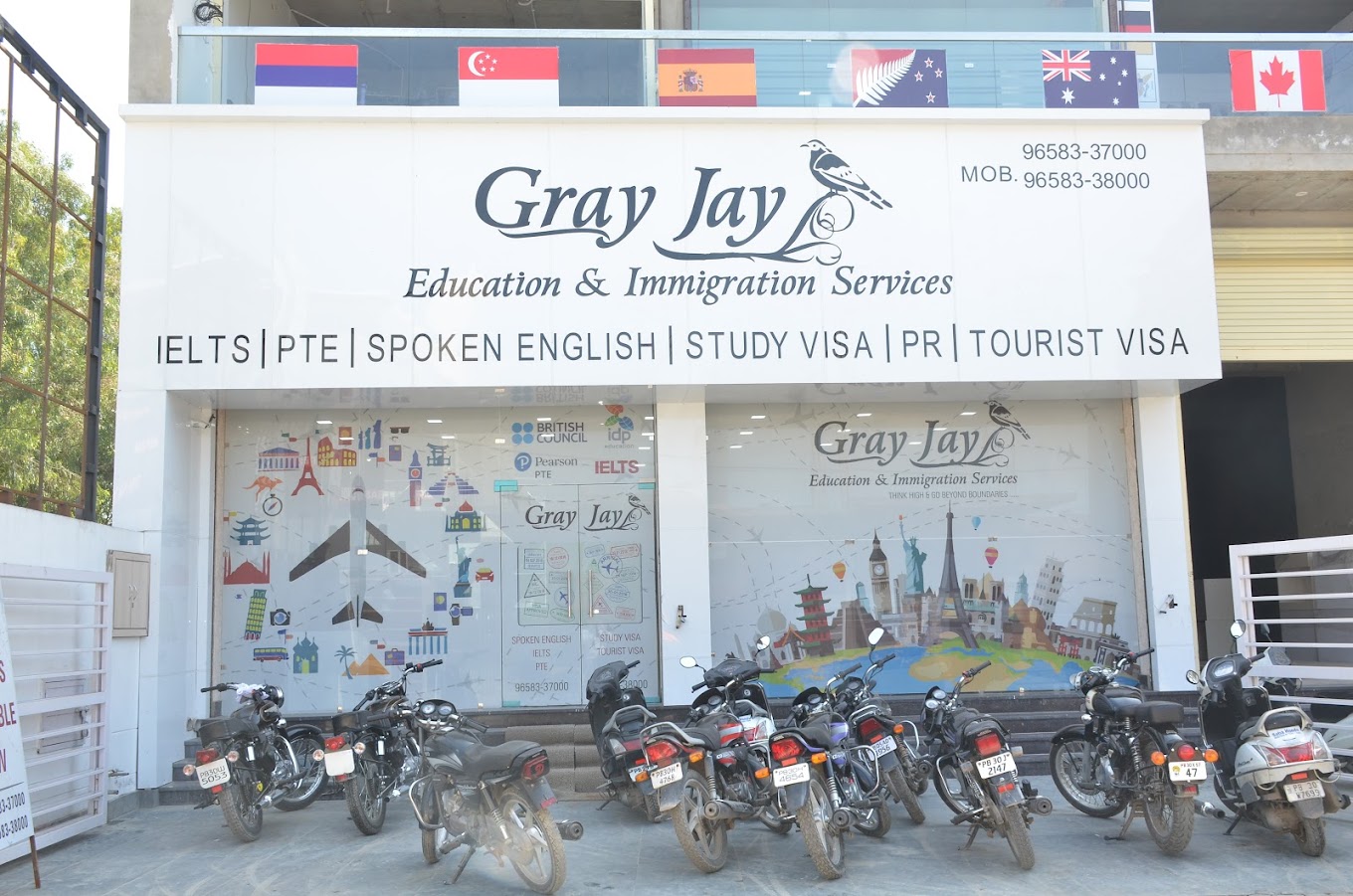 Gray Jay education & immigration services