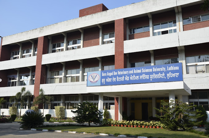 Guru Angad Dev Veterinary and Animal Sciences University