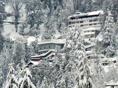 Guru Nanak Public School