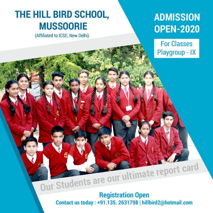 Hill Bird School