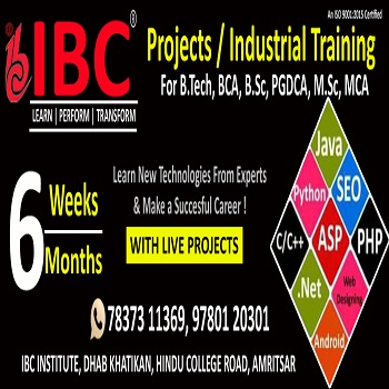 IBC Institute