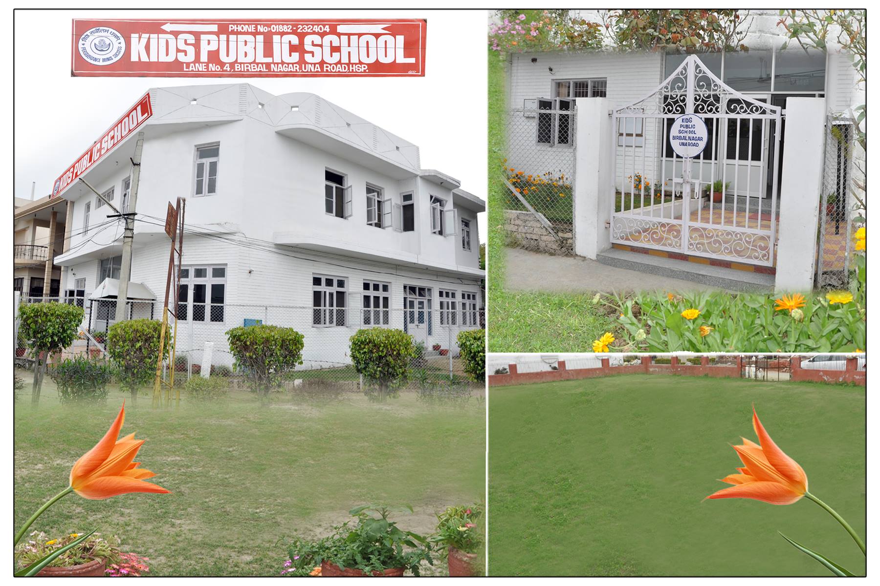 Kids Public School