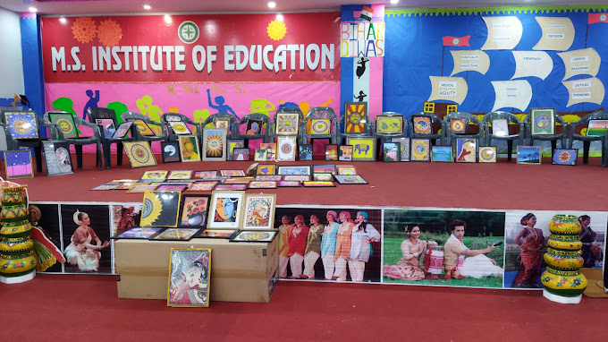 M.S. Institute Of Education