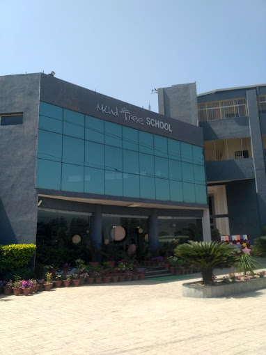 Mind Tree School