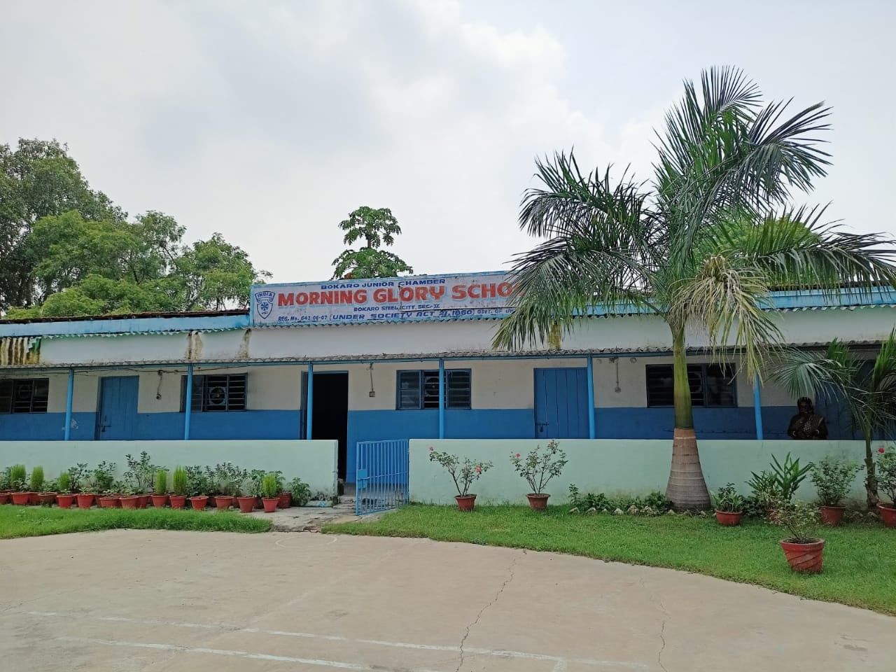 Morning Glory School