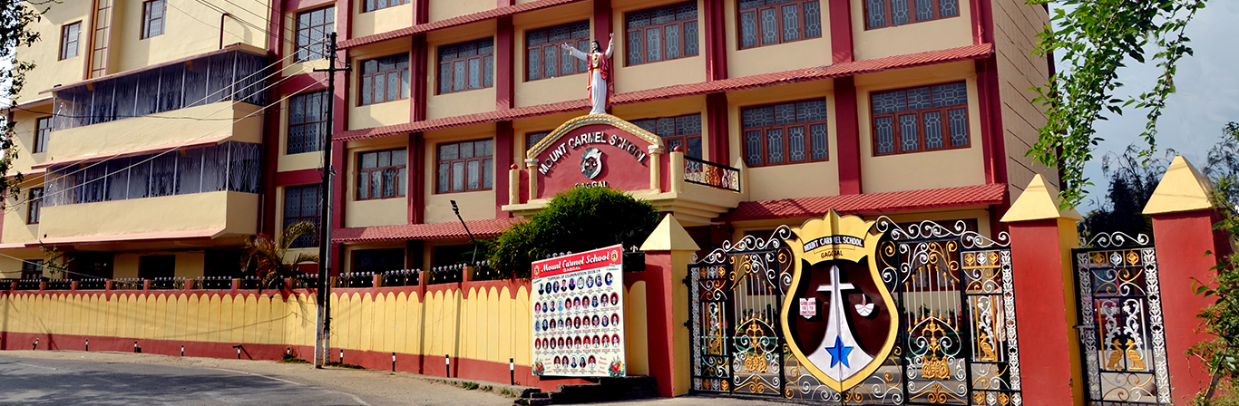 Mount Carmel School
