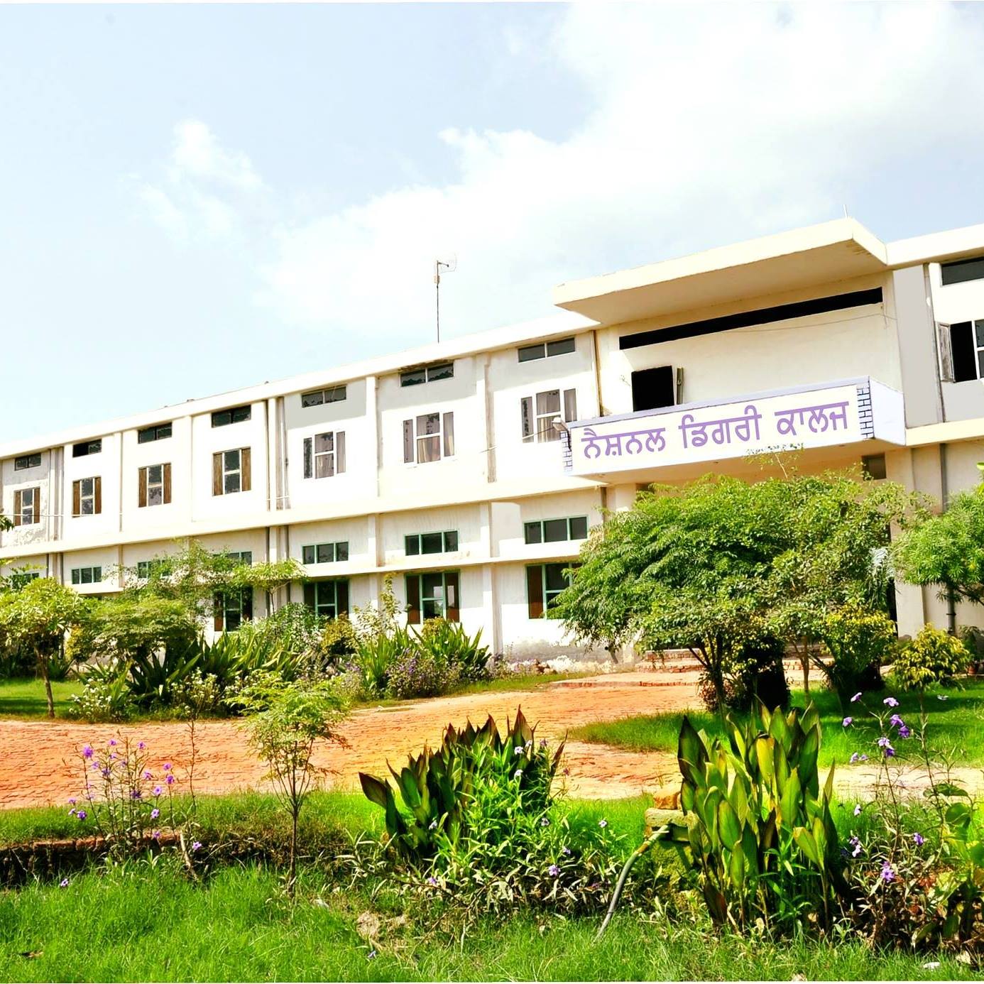 National Degree College