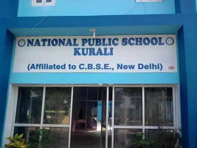 National Public School