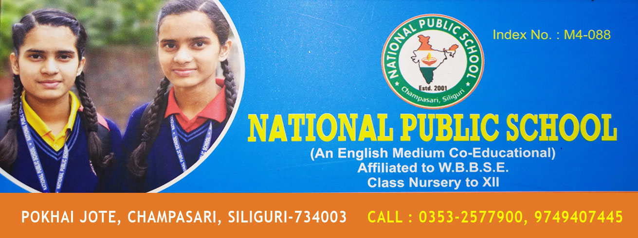National Public School