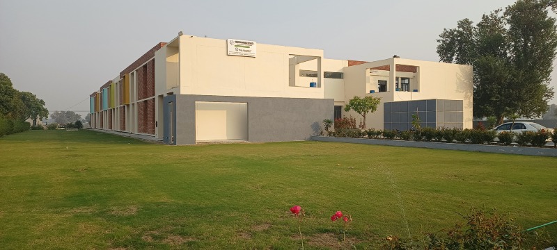 Newton World School