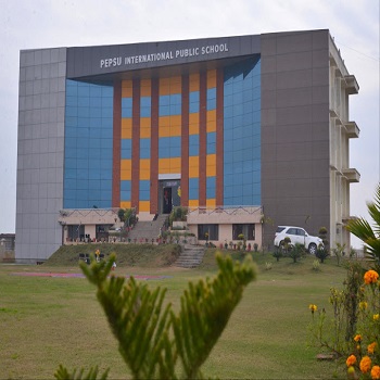 Pepsu International Public School