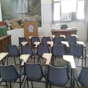 Polo Immigration Services