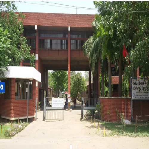 R & D Polytechnic College