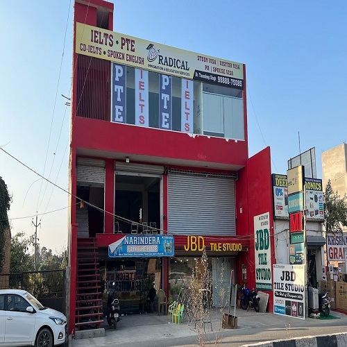 Radical Immigration & Education Services