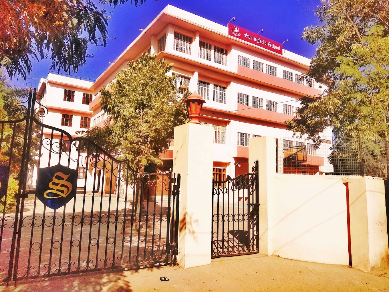 Springfield School
