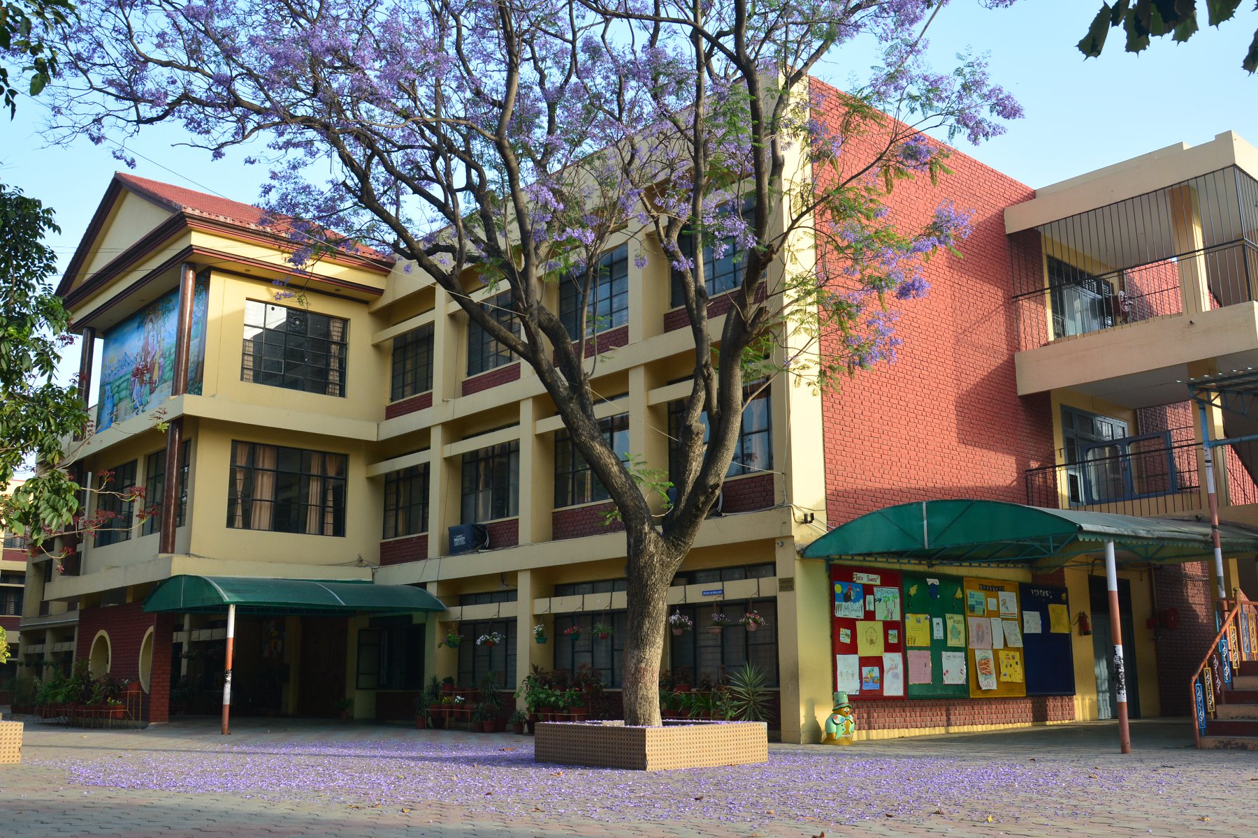 St. Francis School